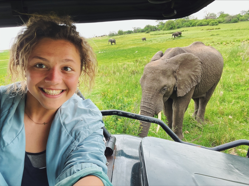 A girl sitting in a safari truck smiles in front of an elephant.